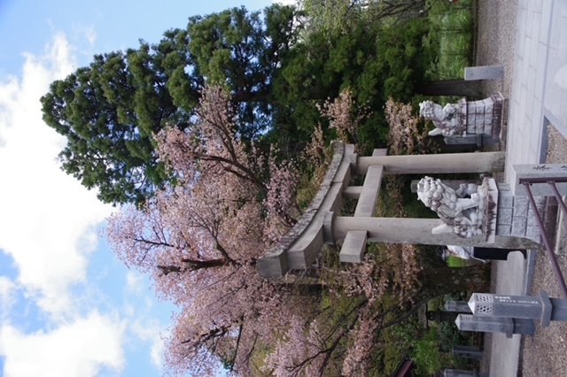 秋保の風景