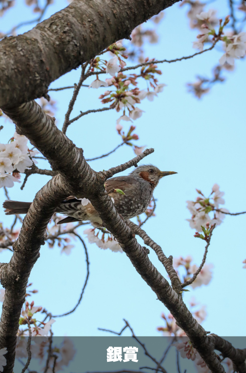 詳細は新着情報から