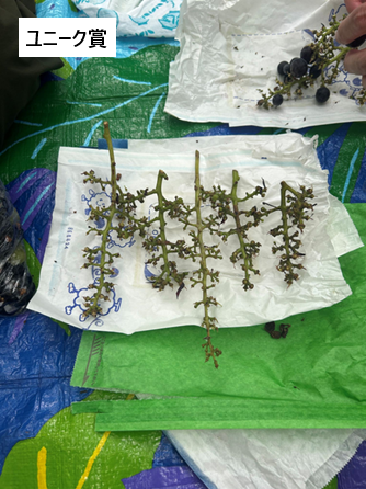 詳細は新着情報から