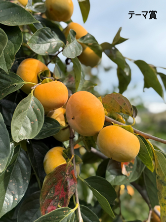 詳細は新着情報から