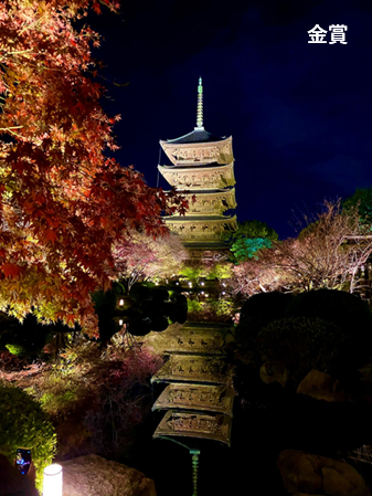 詳細は新着情報から