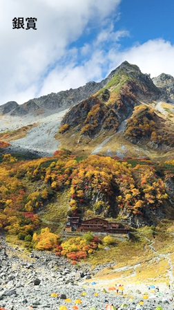 詳細は新着情報から