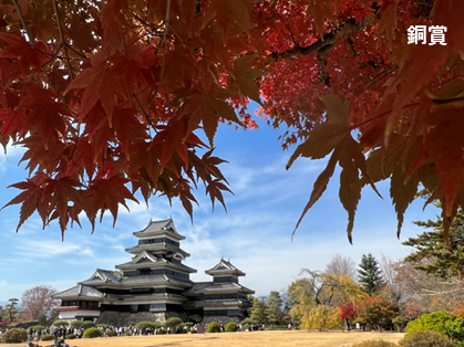 詳細は新着情報から